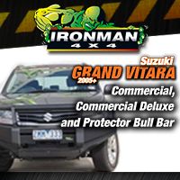 Vitara Bull Bar Thumb